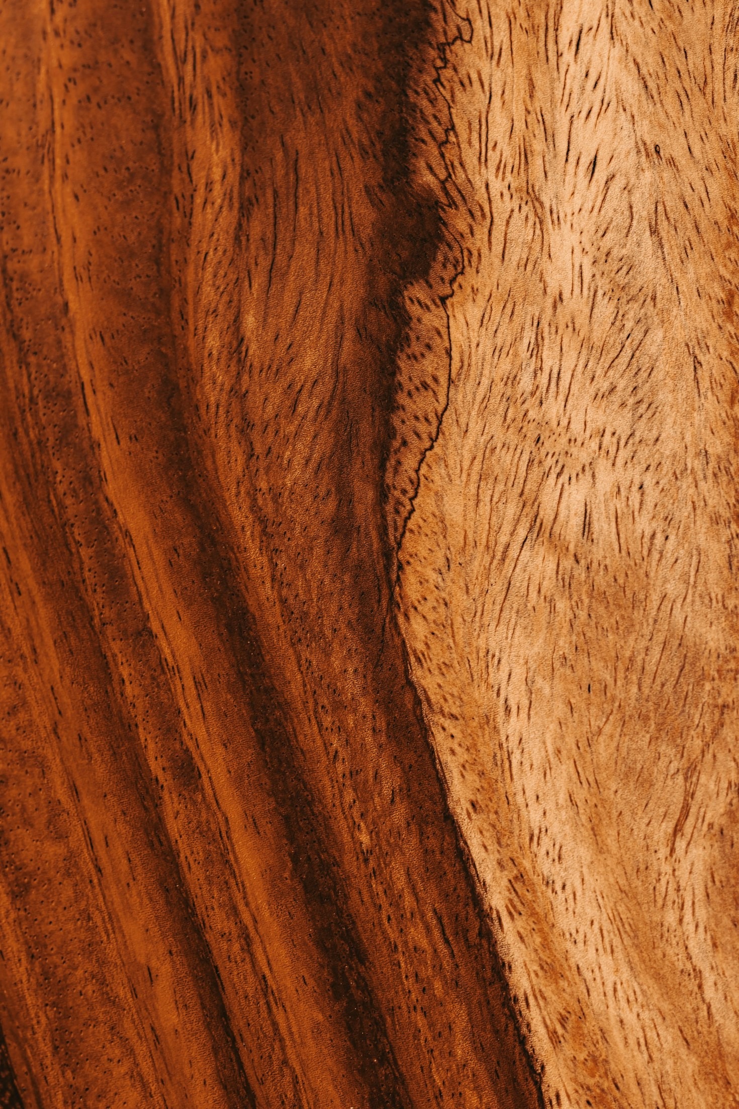 Transform Your Space with Natural Manzanita Accents